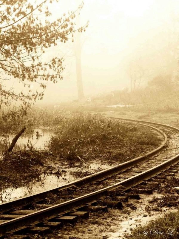 Фотовиставка Дениса Лобентовича